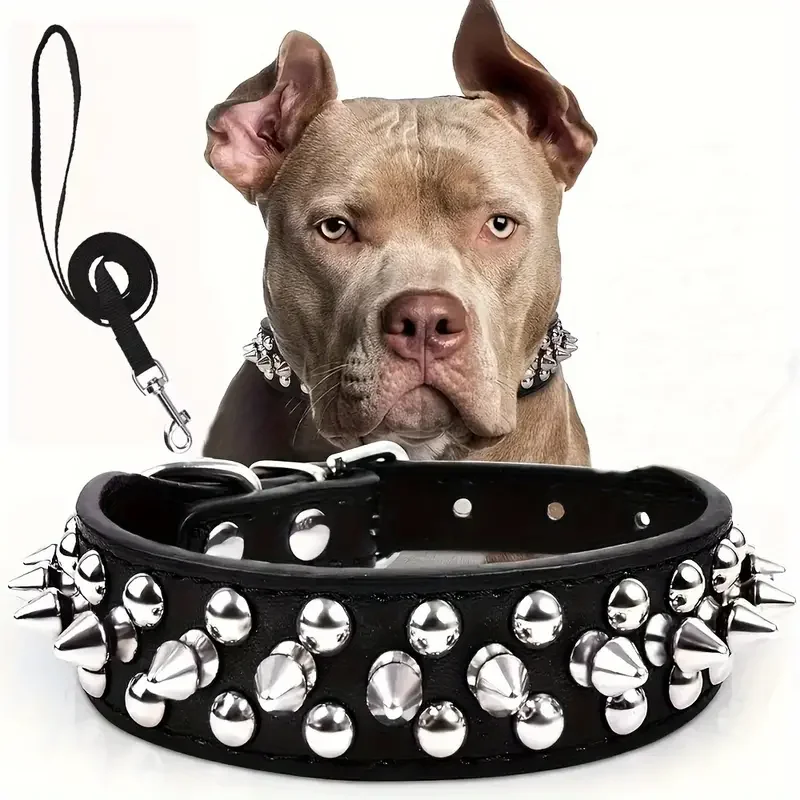 Clean Premium Adjustable Leather Spiked Collar And Lead Set Next-Generation
