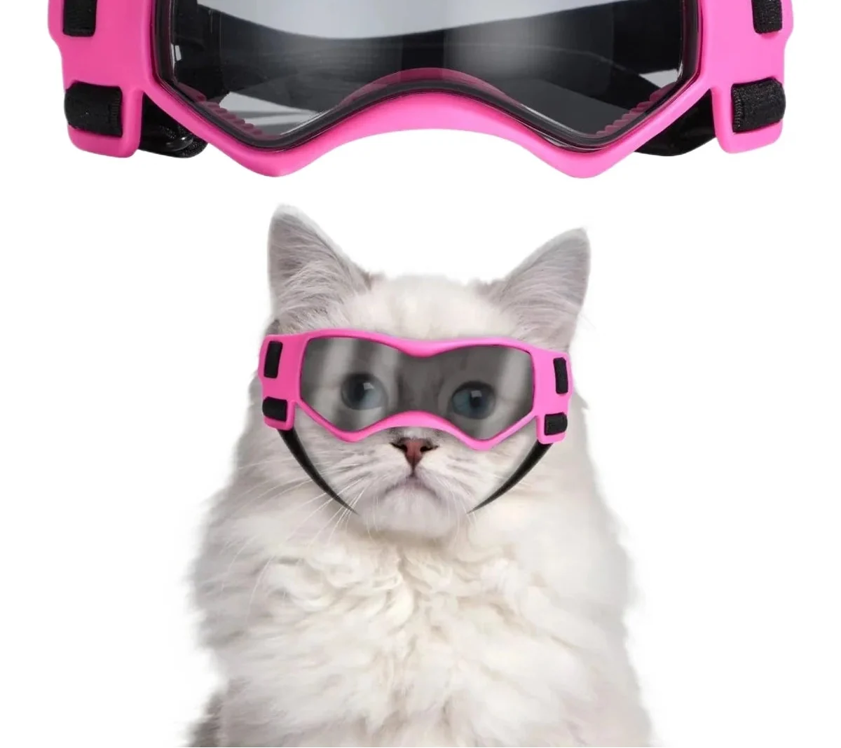Healthy Cat Sunglasses - UV Protection Goggles for Small Pets Traditional