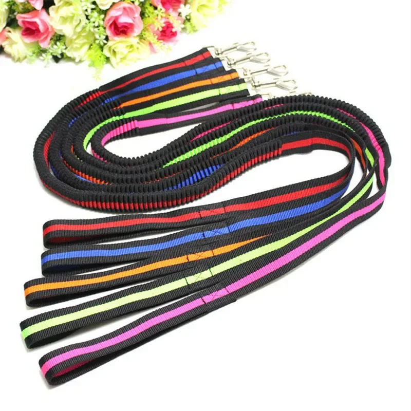 Contemporary Elastic Anti-Pull Pet Lead 190cm Premium Material