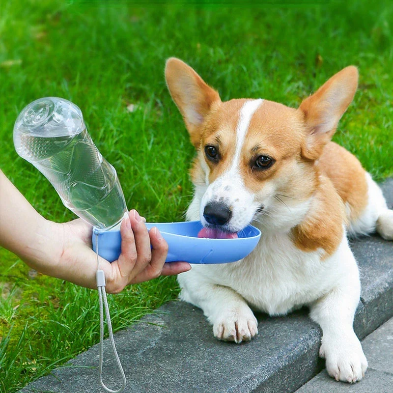 Durable Portable Dog Water Bottle with Bowl Luxury