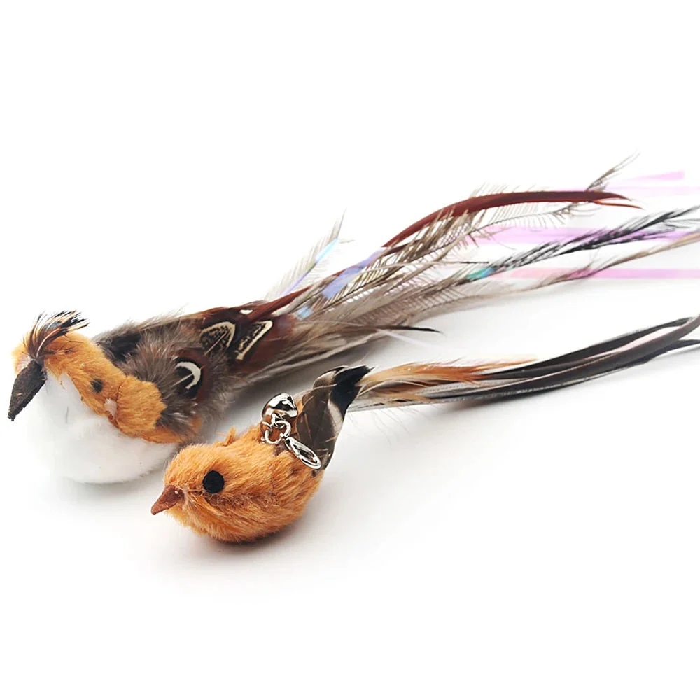 Versatile Feather Bird Cat Teaser Toy Set 2 Pack Reliable