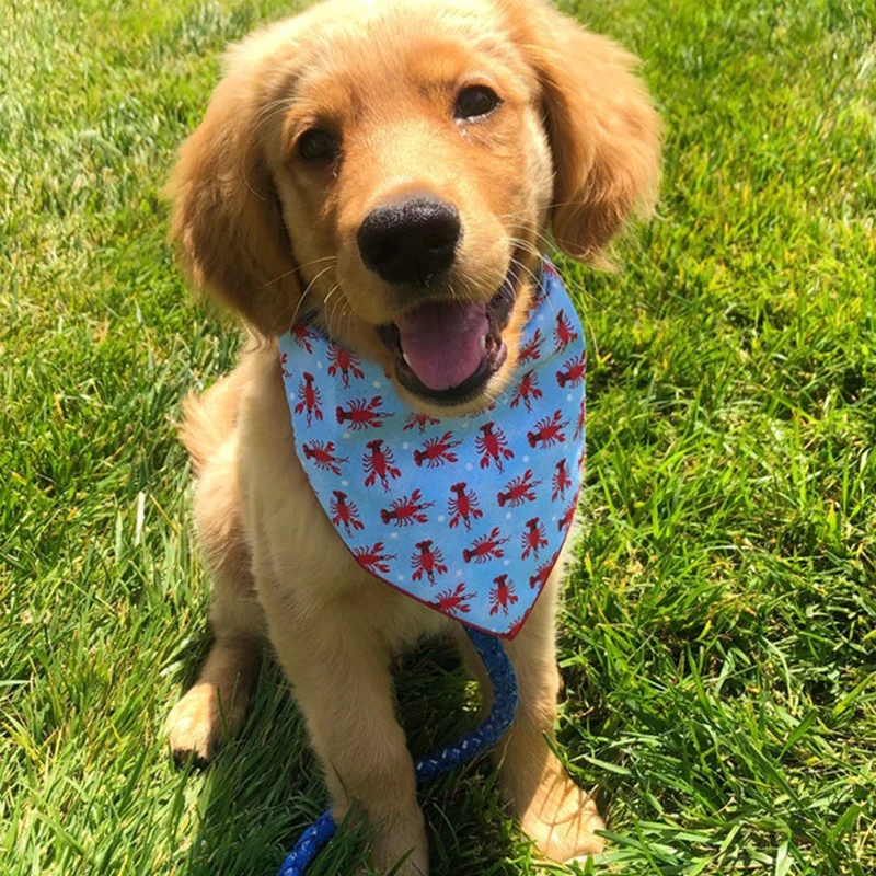 World-Class Triangular Dog Bandana Scarf – Summer Beach Crafted