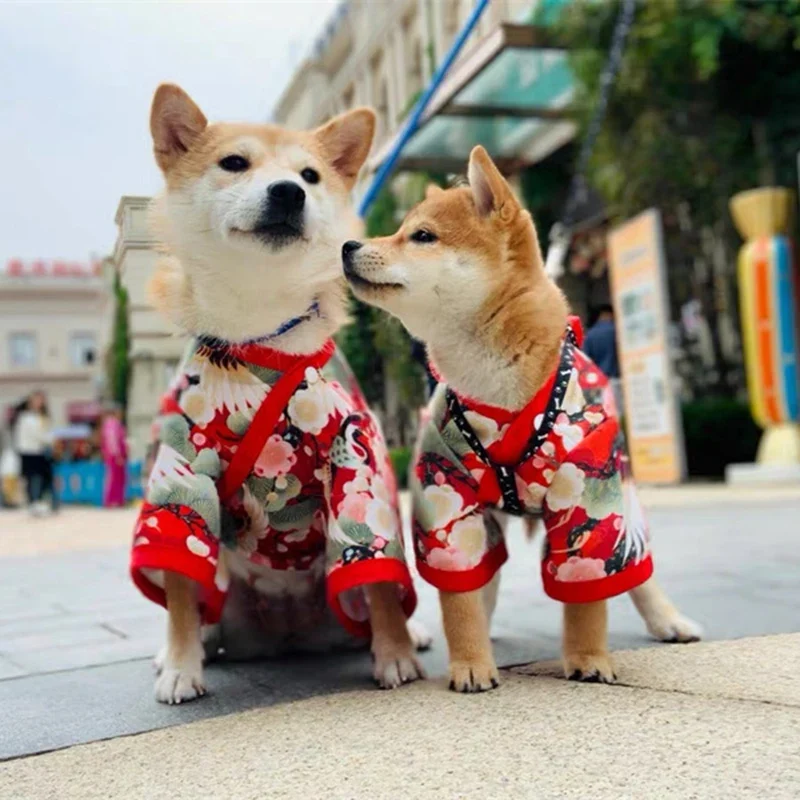 Effective Japanese Kimono Costume for Cats Dogs Relaxed