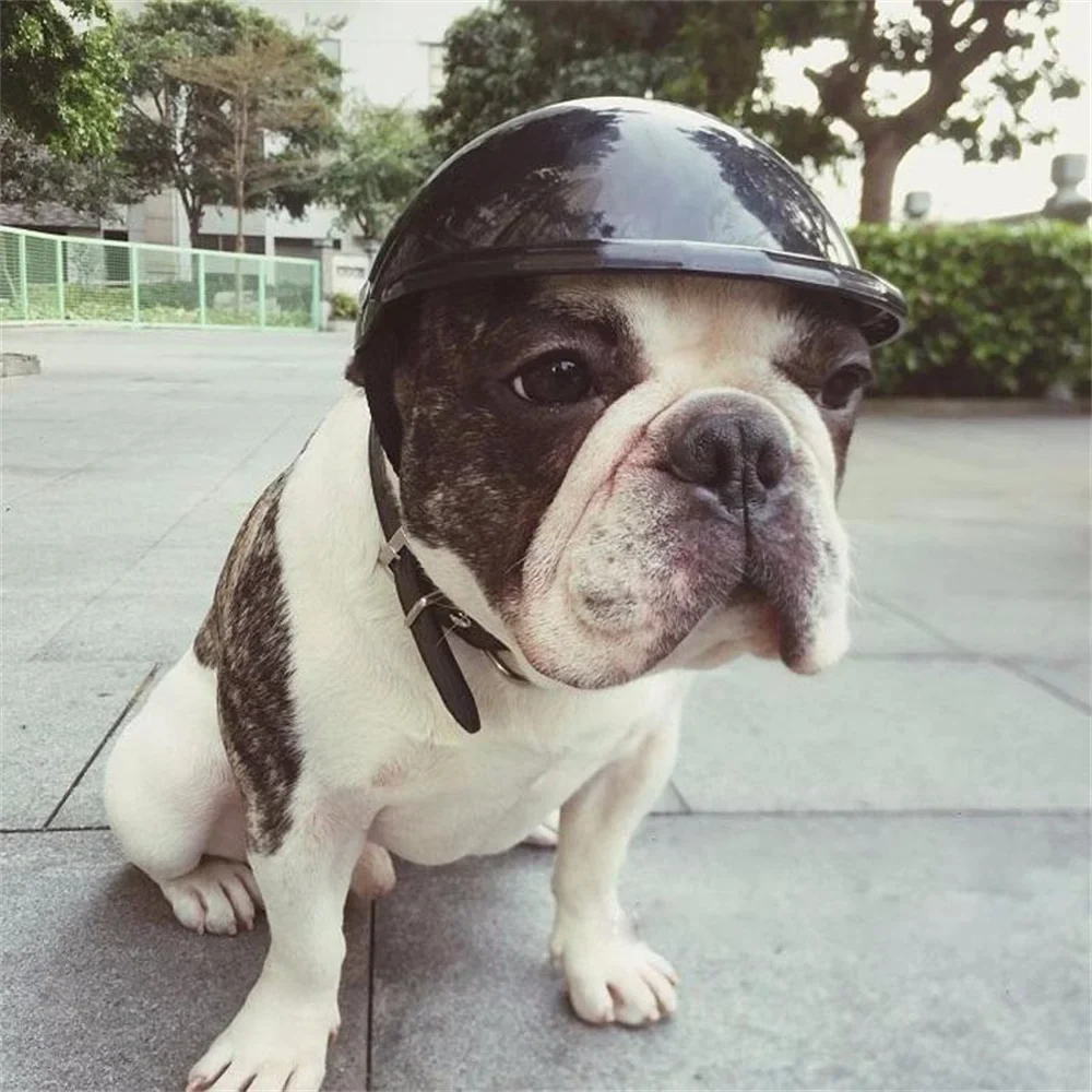 Natural Novelty Riding Helmet Hat for Dogs Cats Fast