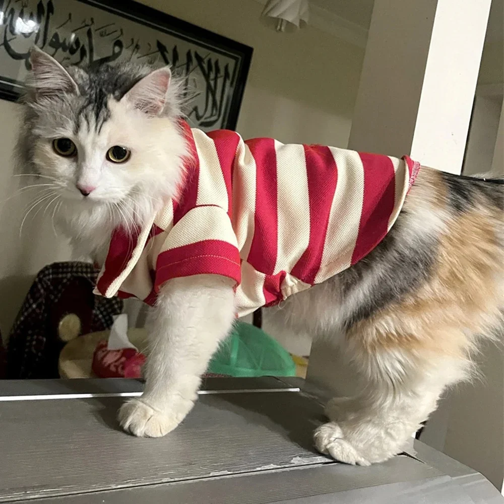 Soft Striped Polo Shirt for Cats Small Dogs Premium Material