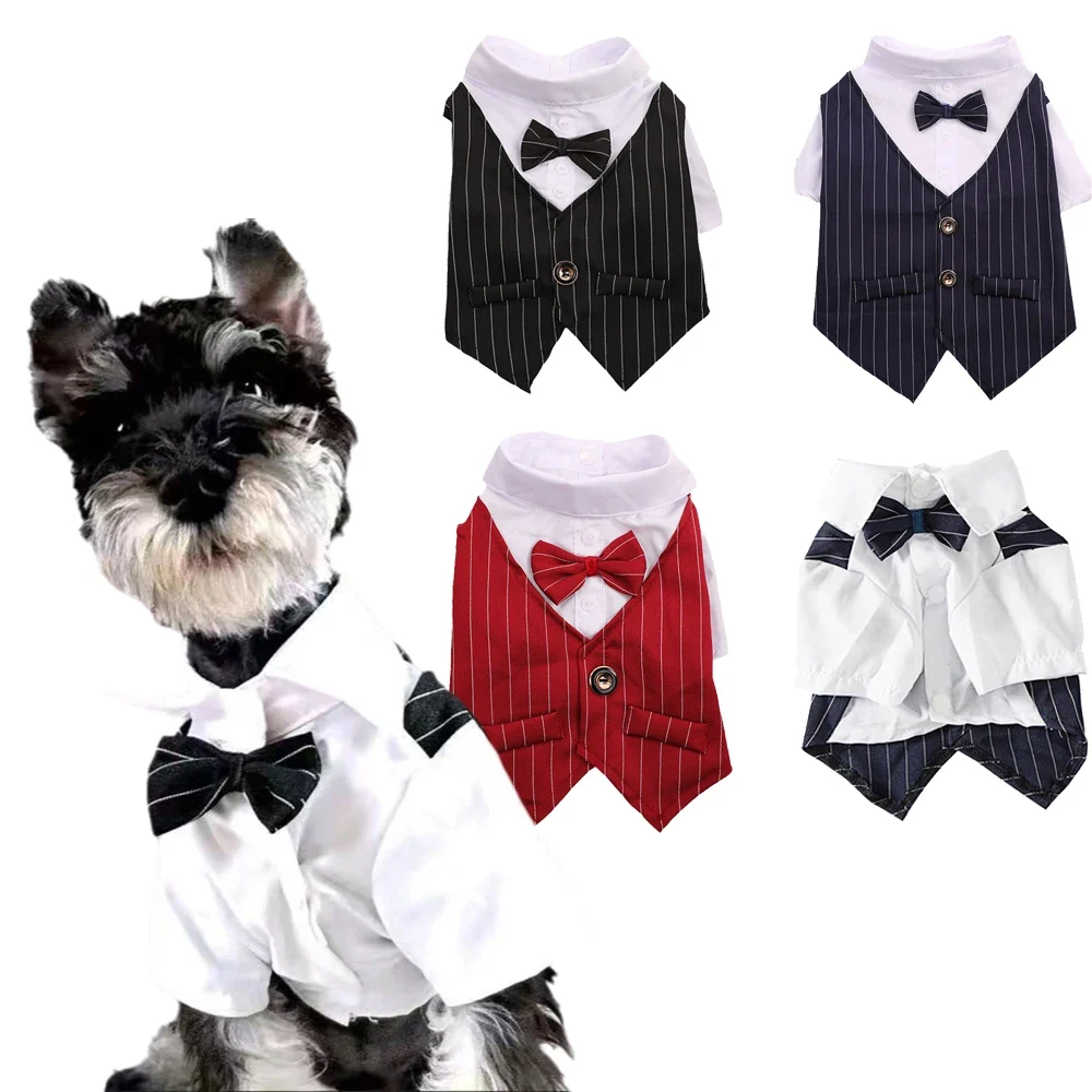 Quality Striped Tuxedo Jacket with Bow for Small Dogs Cats Powerful