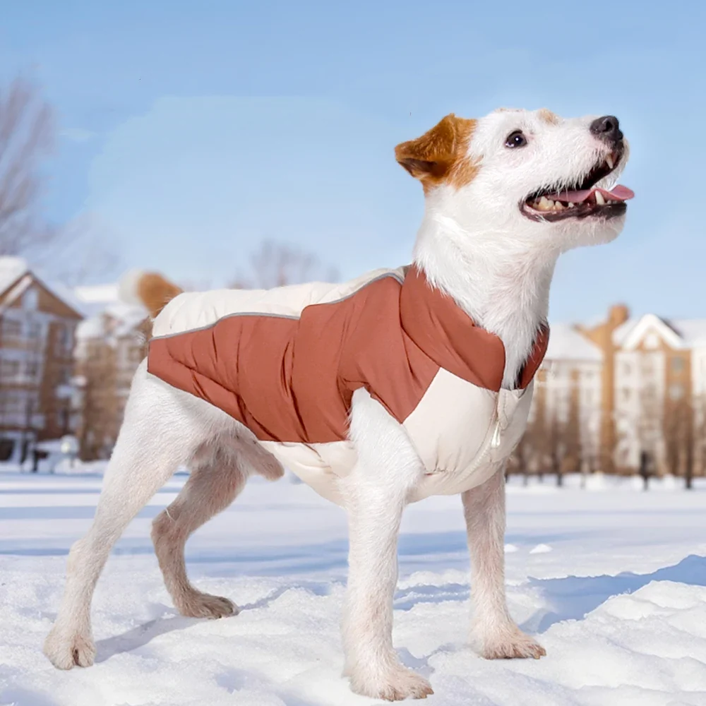 Comfortable Windproof Reflective Down Jacket for Small Dogs Harness Hole Top-Quality