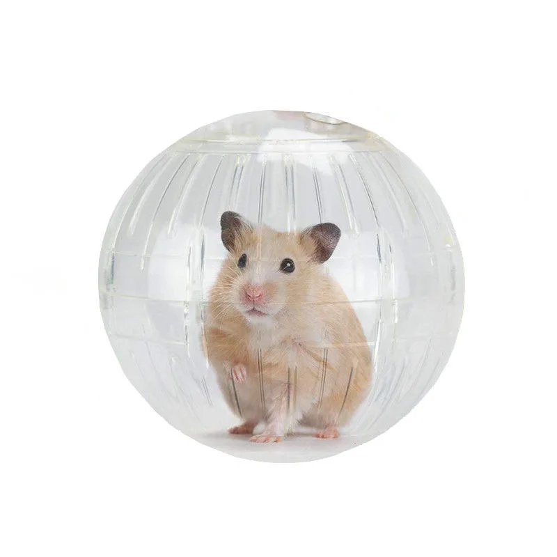 Trusted Translucent Exercise Ball for Hamsters Rats Fine Crafted