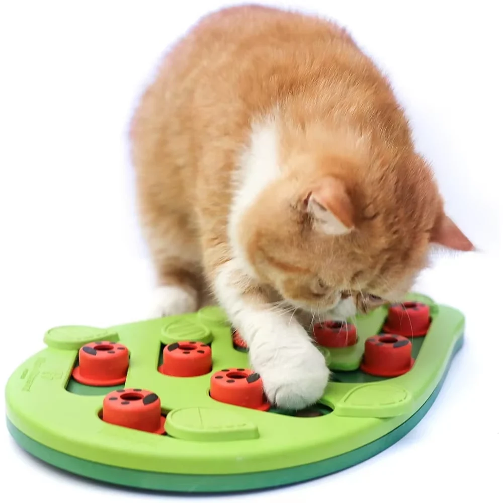 Trendy Interactive Cat Treat Puzzle — Cognitive Foraging Game for Cats Expertly Made