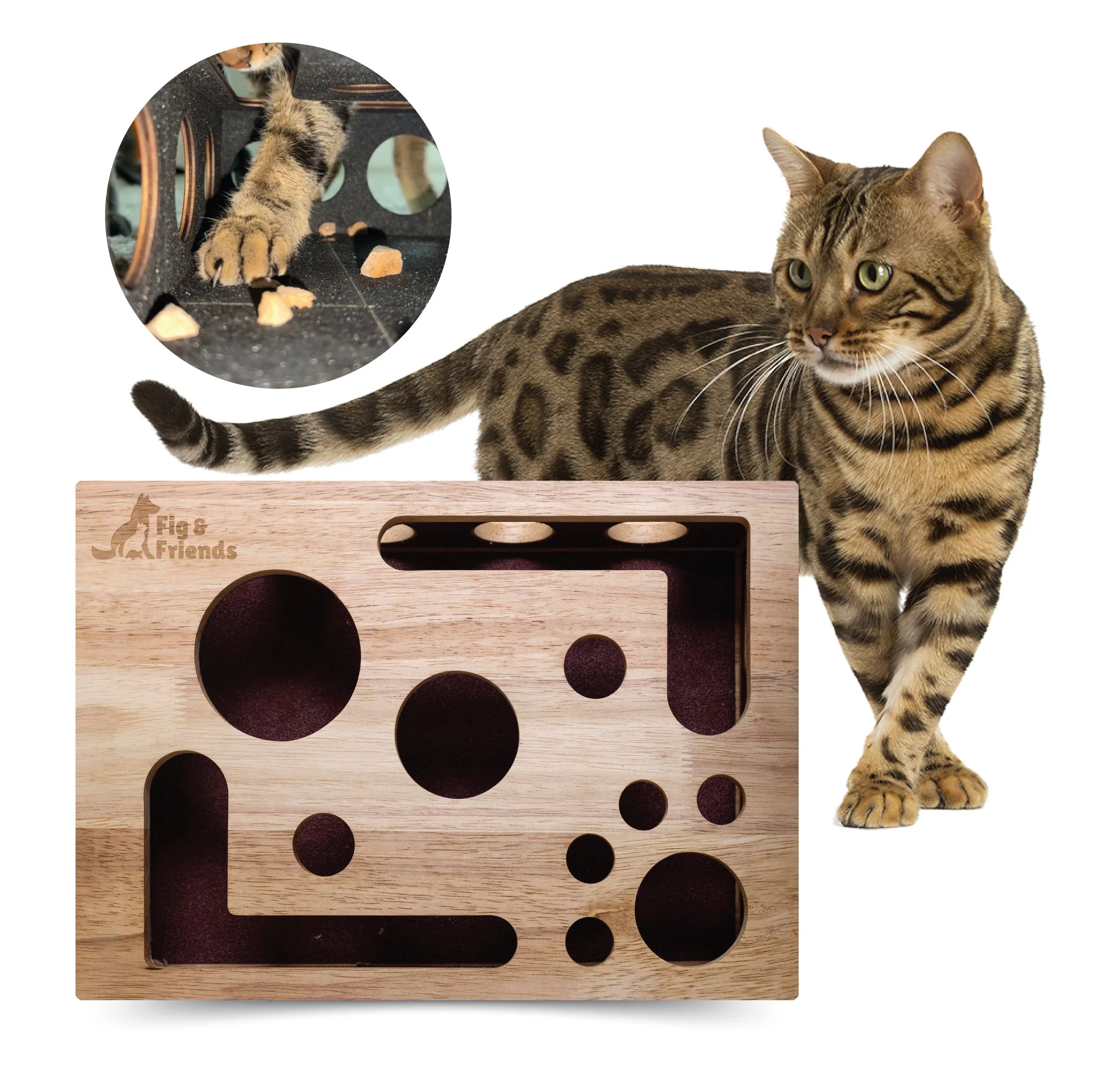 Flexible The Cat Nail File Enrichment Box Contemporary