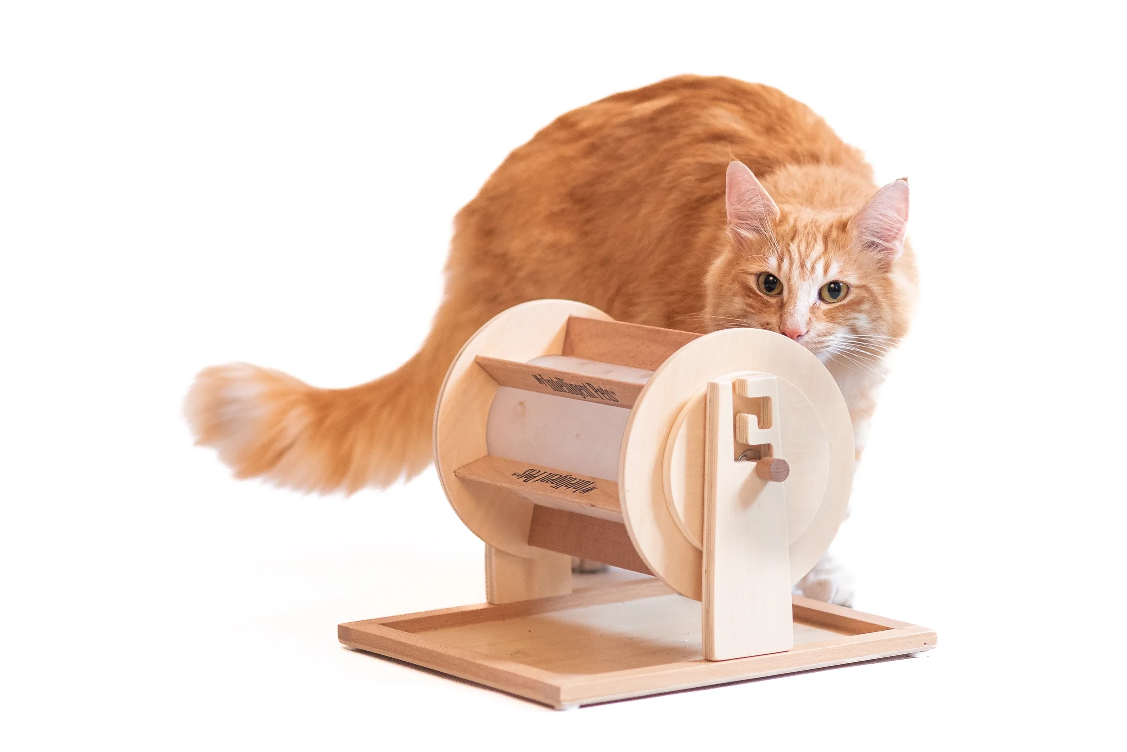 Powerful Wheel of Fortune Wood Treat Puzzle User-Friendly