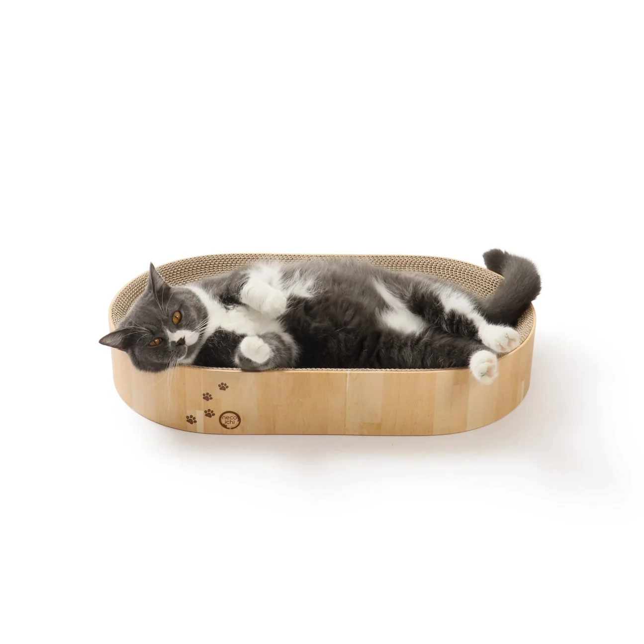 Practical Cozy Bowl Capsule Cat Scratcher Smooth