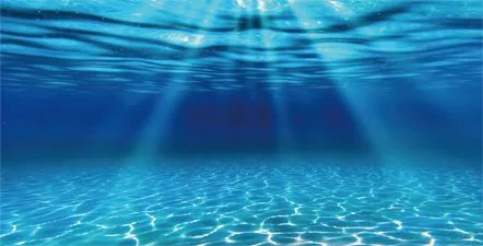 Classic Natural Undersea Aquarium Background Underwater Ocean Sunlight Fish Tank Background 36X18IN with 8 EVA Double-Sided Tape Contemporary