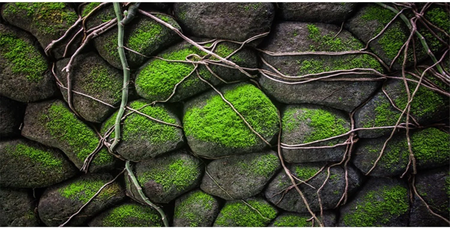Trendy AWERT 60x24 inches Stone Aquarium Background Rock Fish Tank Background Rocky Terrarium Background Vinyl High-End