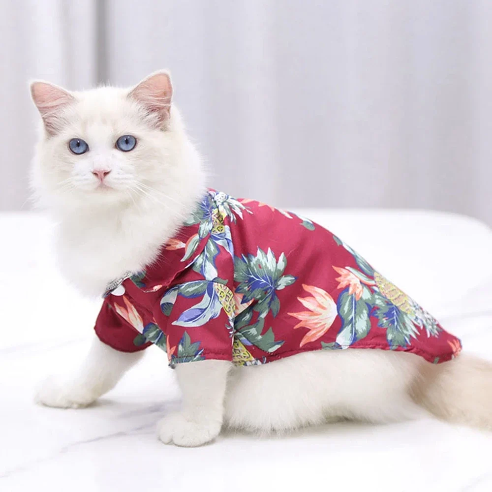 Contemporary Hawaiian Beach pet T-Shirts Fine Crafted
