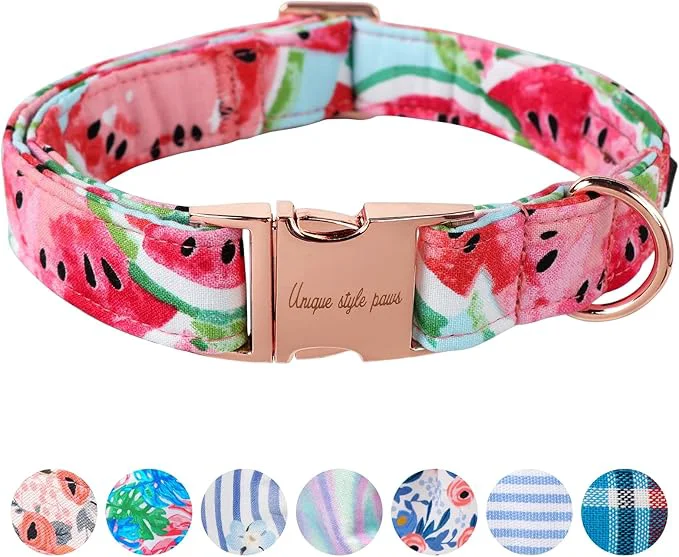 Easy-to-Use Unique Style Paws Watermelon Collar Premium Material