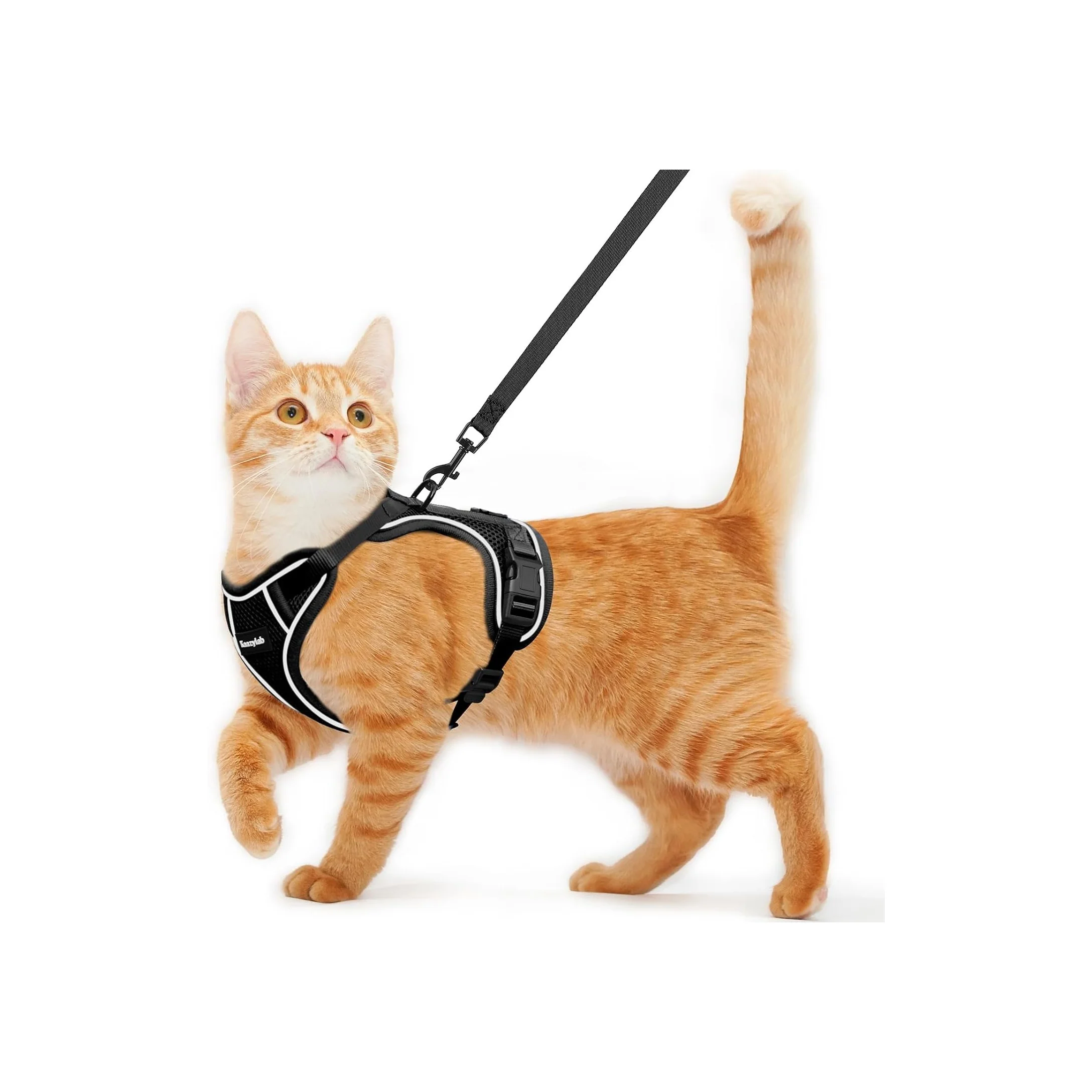 Classic Cat Harness and Leash for Walking Escape Proof Soft Adjustable Cat Lea Innovative