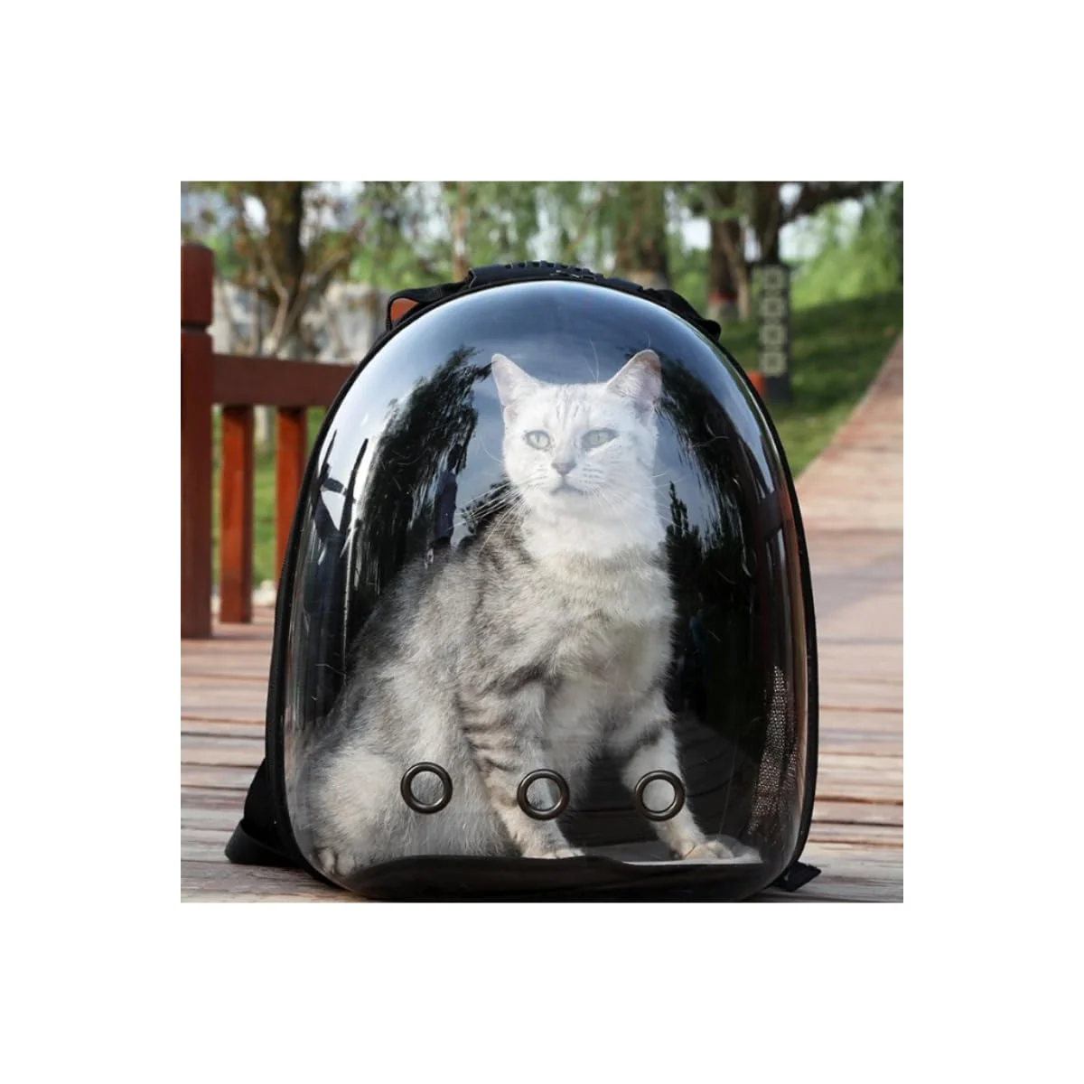 Clean Manufacturer Directly Supplies cat Bags pet Backpacks Portable and T Artisan