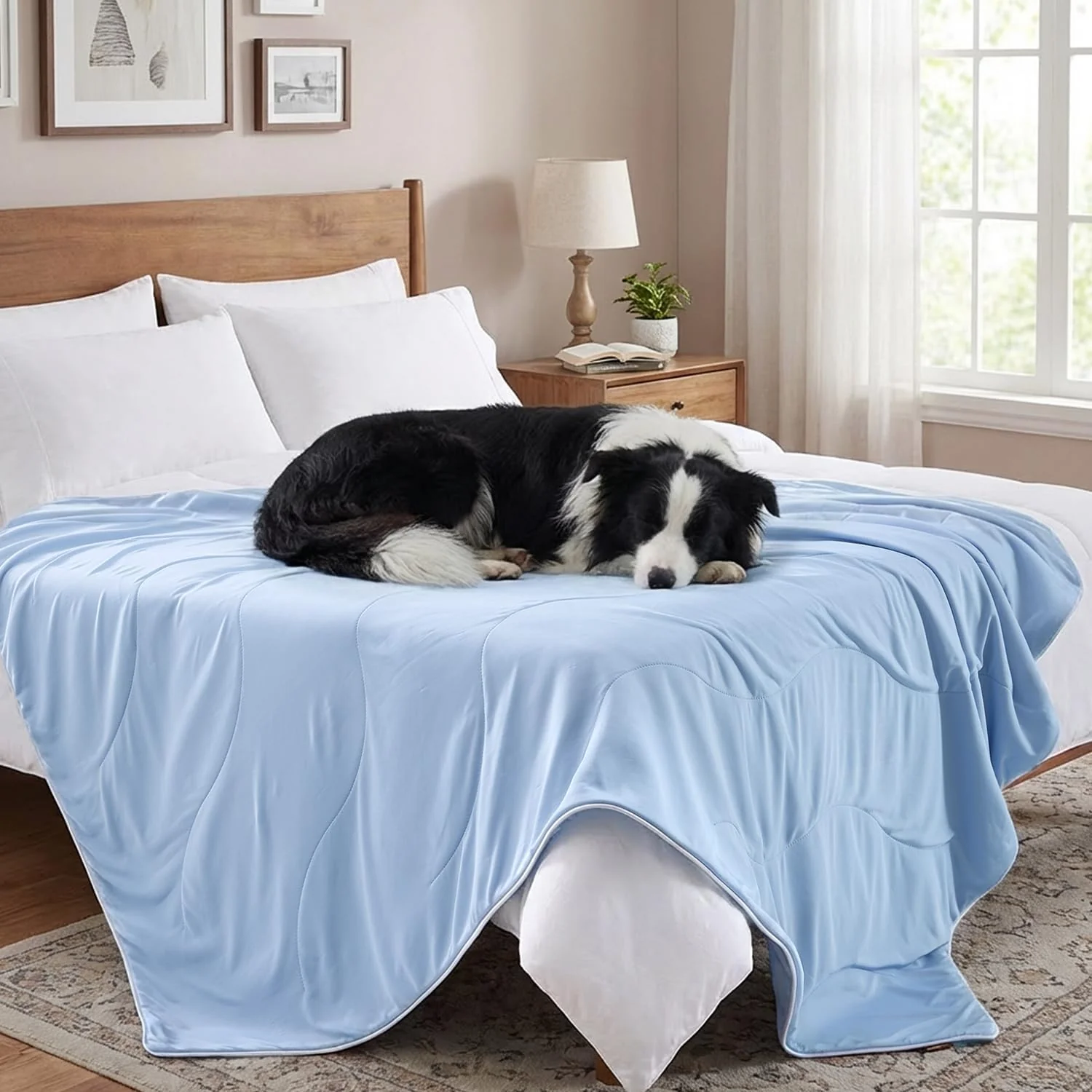Elite Cooling Blanket for Large Dogs - Breathable Air-Core Fill Lightweight Luxury