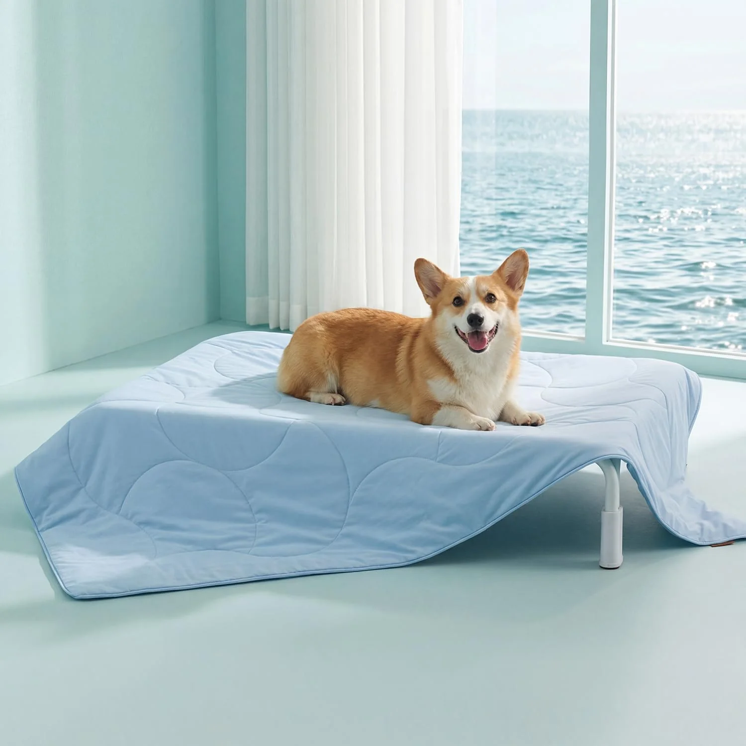 Healthy Premium Cooling Blanket for Large Dogs - Q-MAX 0.5 Breathable Washable Superior