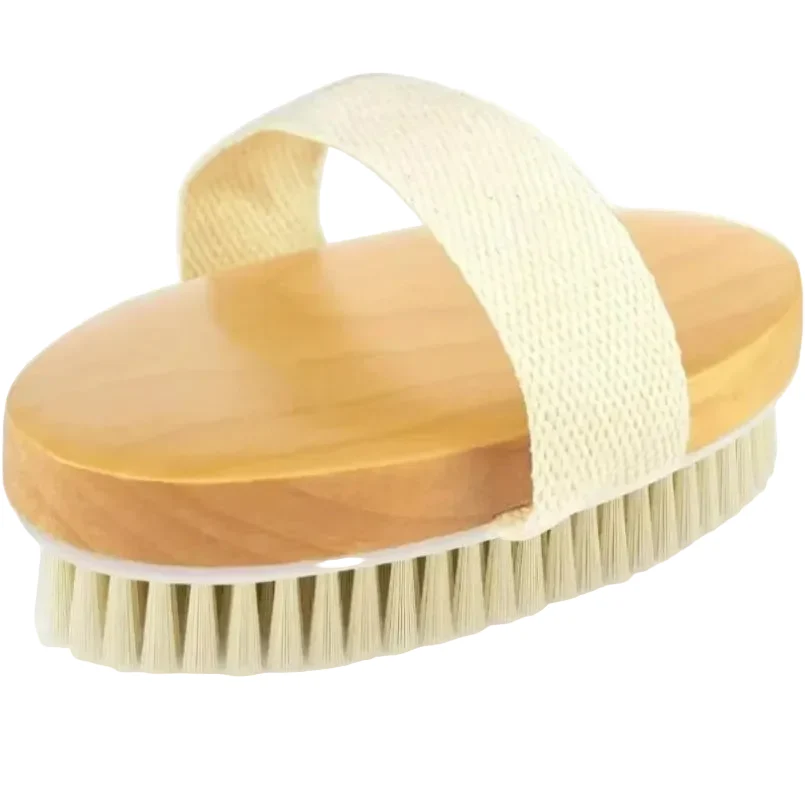 Breathable 2 In 1 Dry Skin Body Brush Natural Bristle Dead Skin Remover Anti Cellulite Exfoliates Blood Circulation Health Massage Tools Contemporary