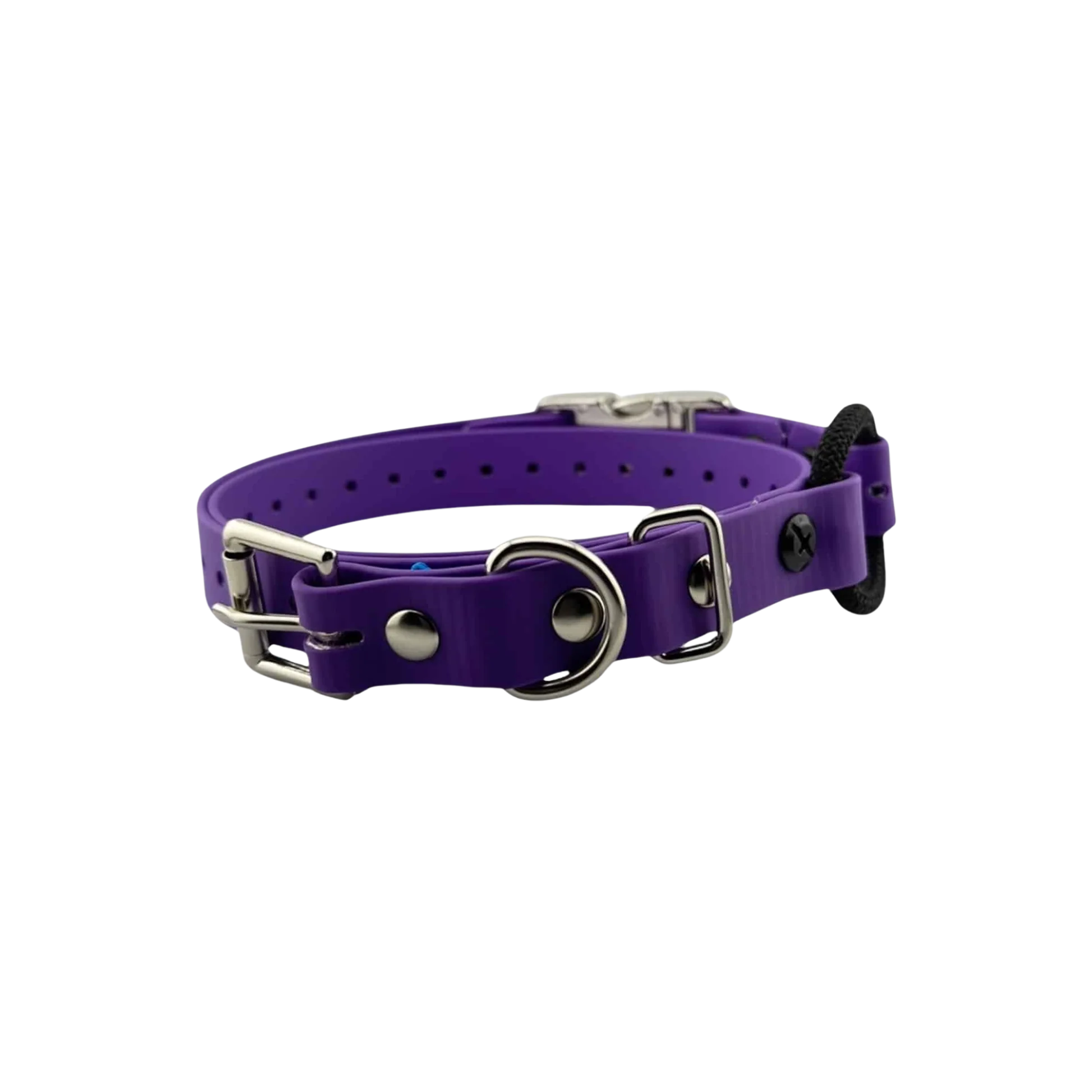Classic E-Collar Technologies 3 4″ Quick-Snap Bungee Collar Strap Detailed