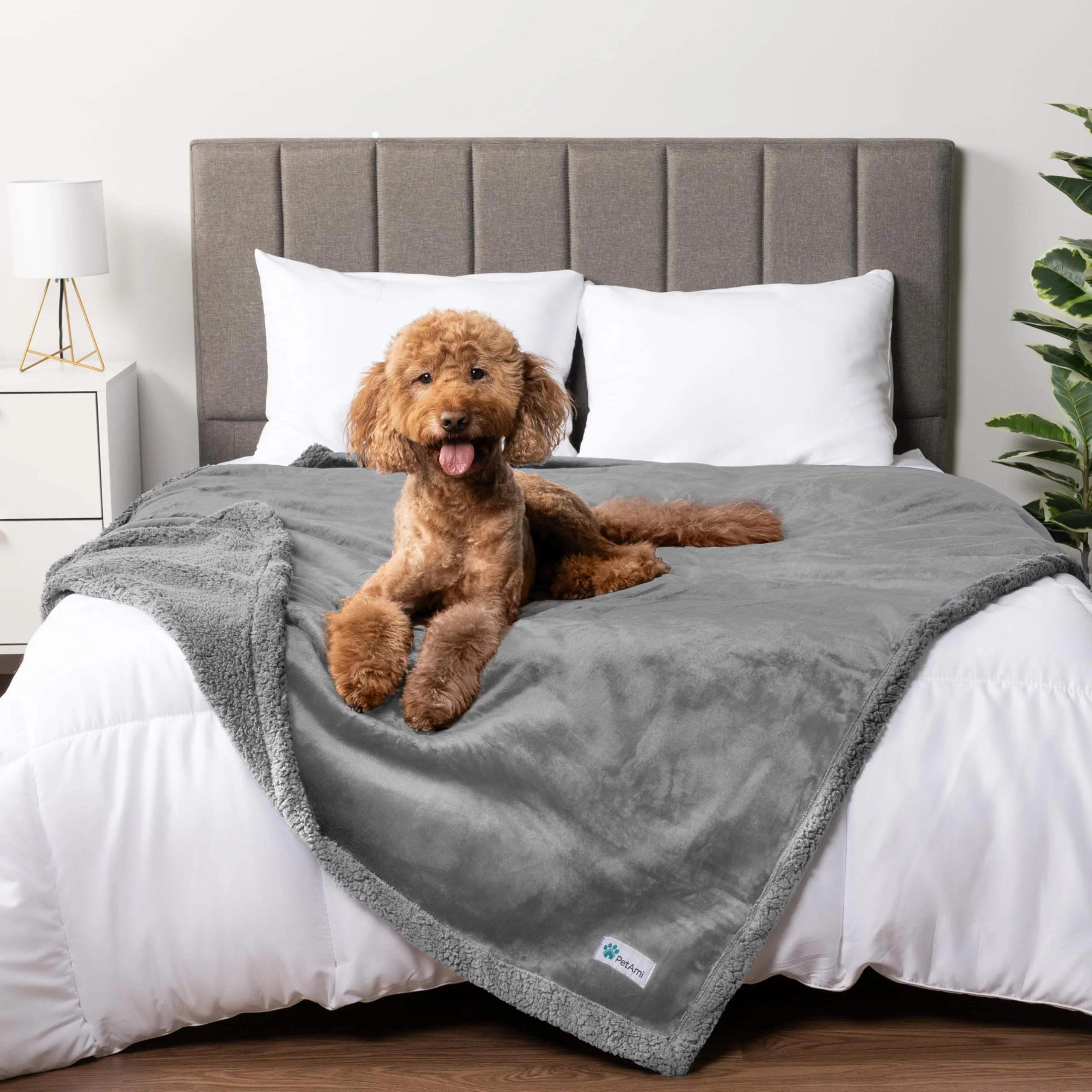 Breathable PetAmi Waterproof Dog Blanket 90x90 – Queen Bed Throw Leakproof Couch Cover Sherpa Fleece Reversible Washable Solid