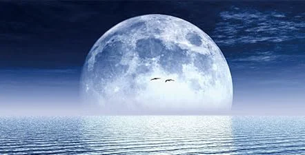 Classic Moon Aquarium Background Cool Sea Galaxy Parallel Space Themed Fish Tank Background Cool Terrarium Background 24X16IN with 8 EVA Double-Sided Tape Comfortable