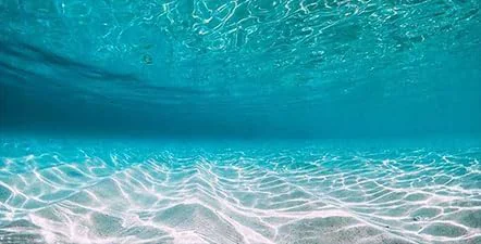 Stylish 48X18IN Natural Undersea Aquarium Background Undersea Beach Fish Tank Background with 8 EVA Double-Sided Tape Detailed