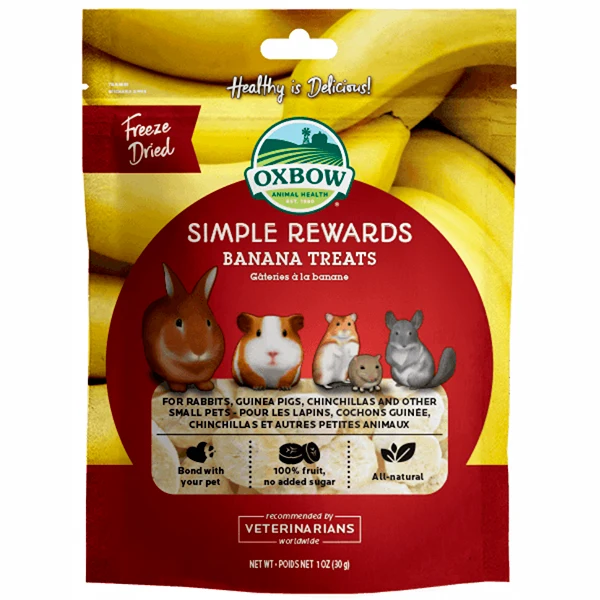 Sustainable Pets on Broadway Minimalist