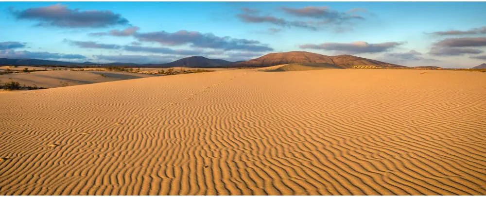 Secure Renaiss 10x5ft Desert Photography Backdrop Golden Ripple Desert Mountain Sand Dunes Blue Sky Gobi Scenery Background Nature Landscape Backgrounds Wilderness Photo Video Shoot Studio Props High-Quality