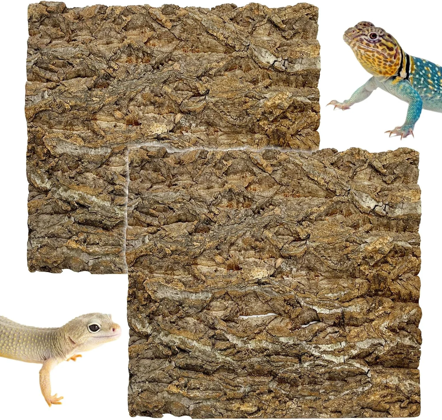 Clean kathson 2Pcs 11.8 L x 11.8 W Cork Tile Background Bark Terrarium Backdrop Wall Decor Cork Bark for Reptiles Reptile Climbing Mat for Spider Gecko Lizard Bearded Chameleon Dragon Turtle Snake Specialty