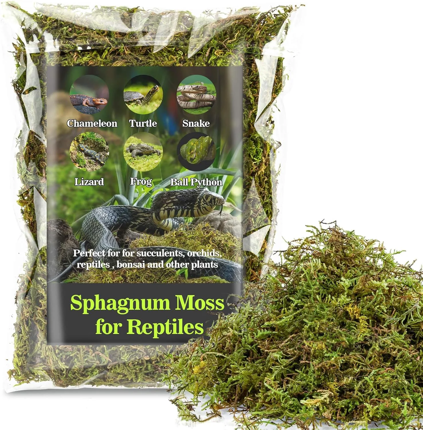 Comfortable Sukh Sphagnum Moss for Reptiles -Terrarium Moss for Reptiles Peat Moss for Reptiles Habitat Bedding Moss for Snakes Turtle Frog Gecko and Other Reptiles Substrate 15.8 Ounces Excellent