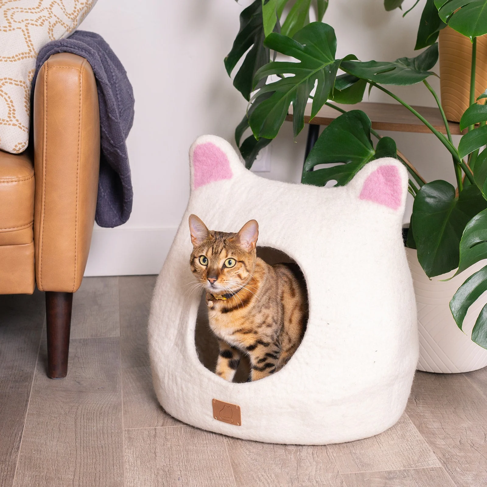 Modern Accent Ears Design Ear Style Cave Detailed