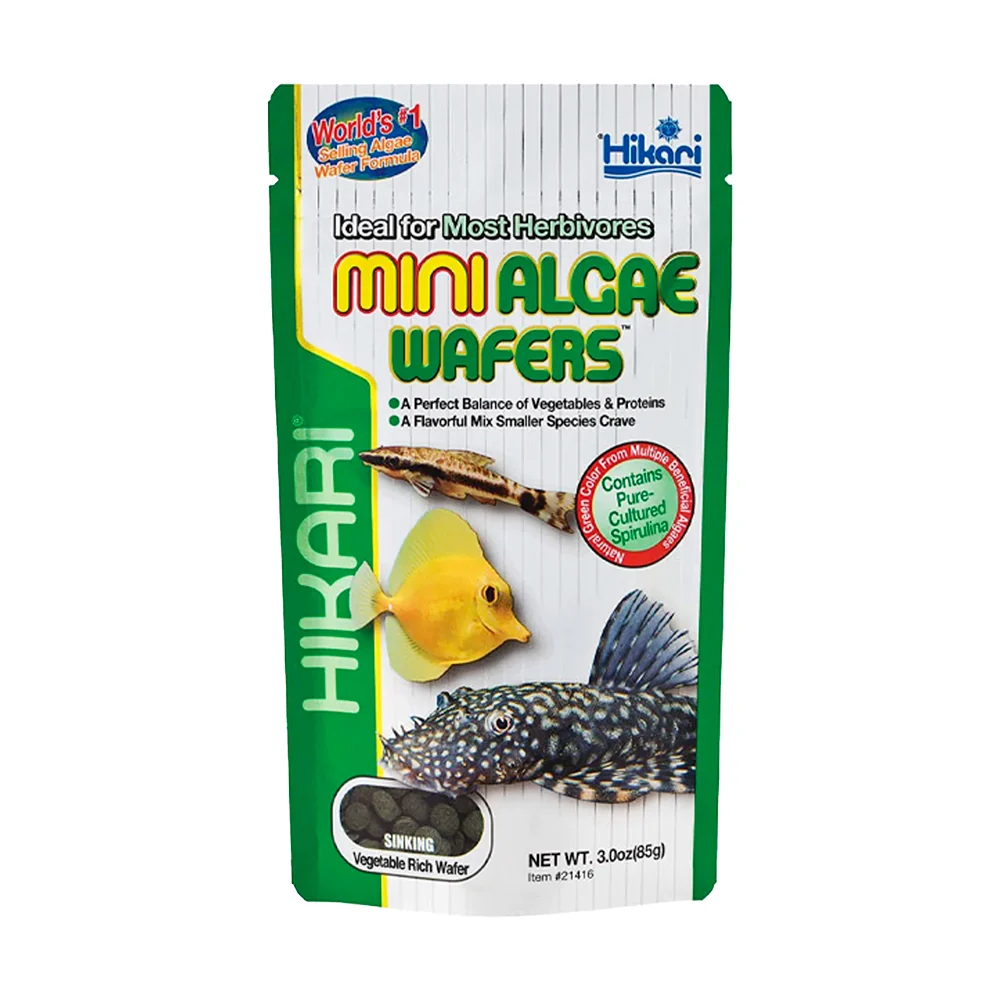Clean Hikari USA Mini Algae Wafers Sinking Fish Food 3-oz Relaxed