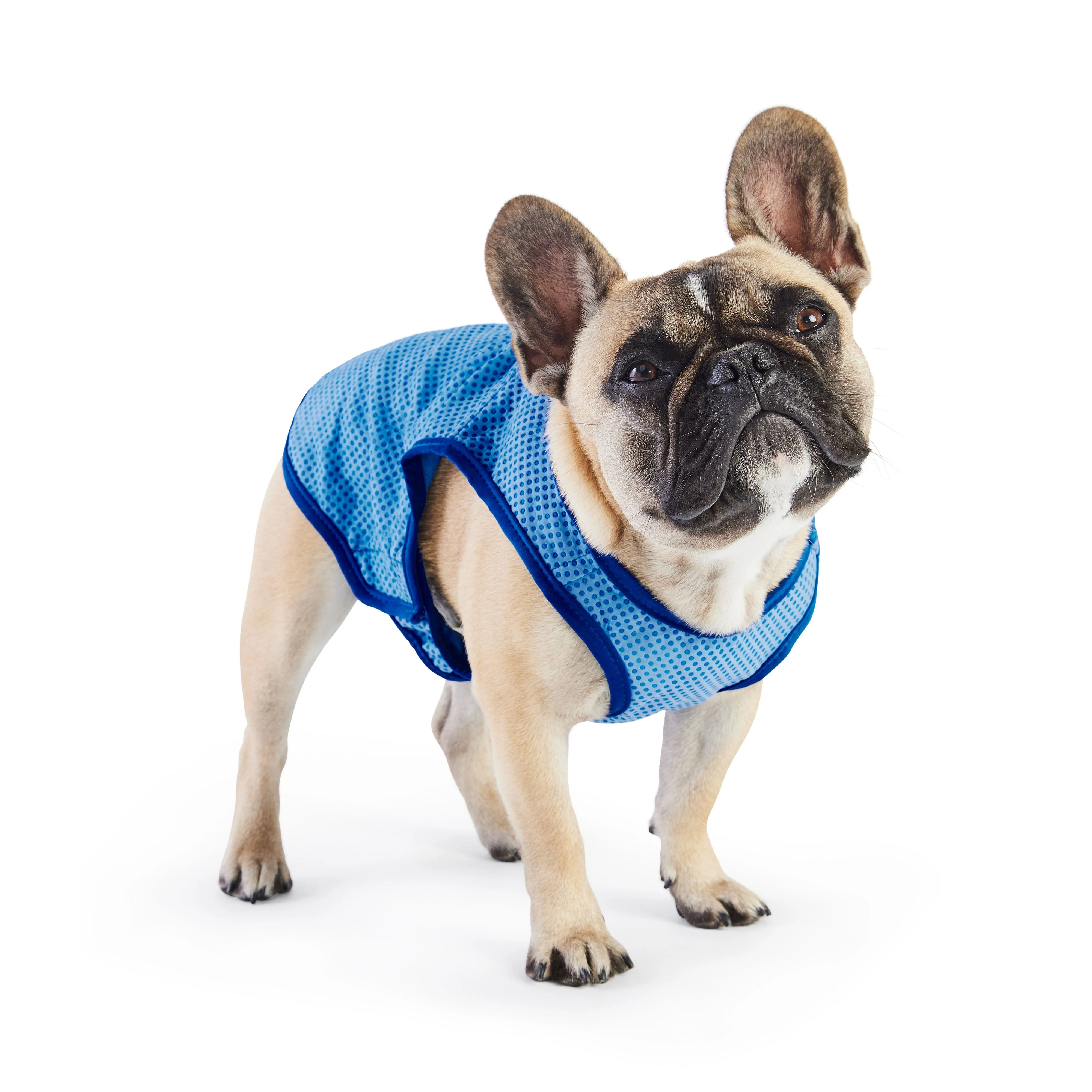 Traditional Elasto-Fit Ice Vest - Blue Classic
