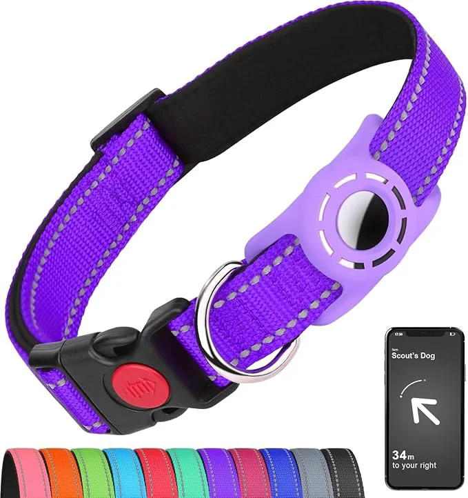 World-Class Airtag Dog Collar with AirTag Holder Unique