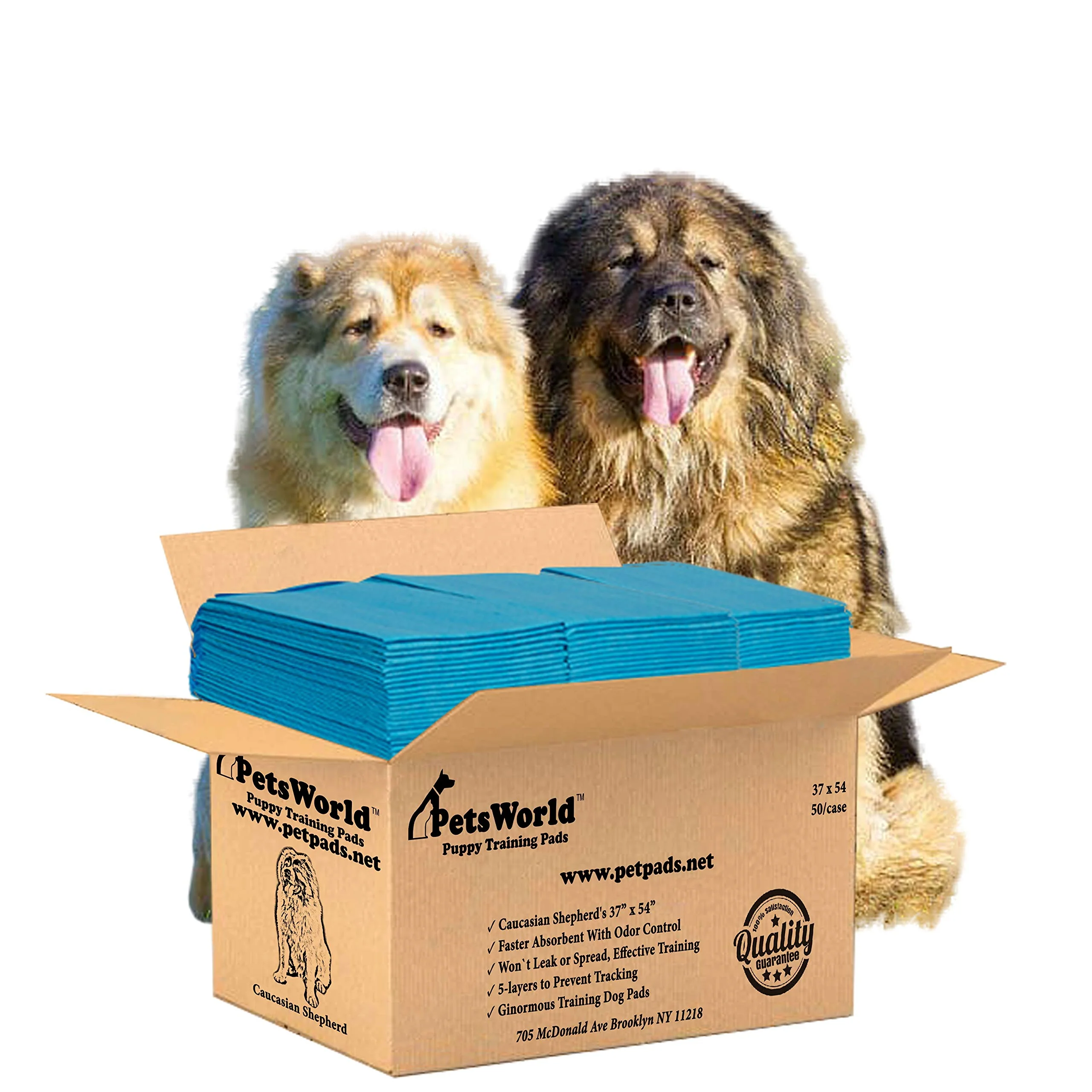 Top-Quality PETSWORLD Enormous 37x54 Dog Training Potty Pads Tear-Resistant Leak-Proof 50 Count Superior