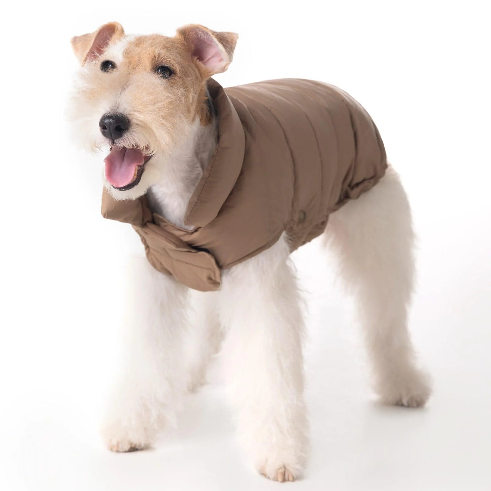 Environmentally Friendly SPACE LION Dog Puffer Jacket Lightweight Winter Coat for Small Medium Dogs Unique