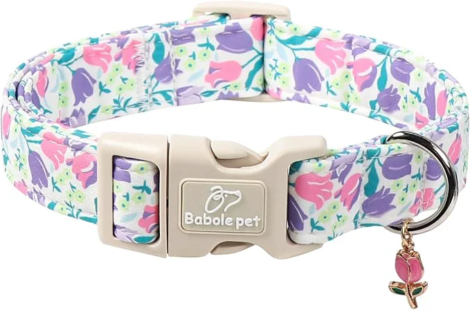 Advanced Floral Dog Collar for Medium Dogs Genuine