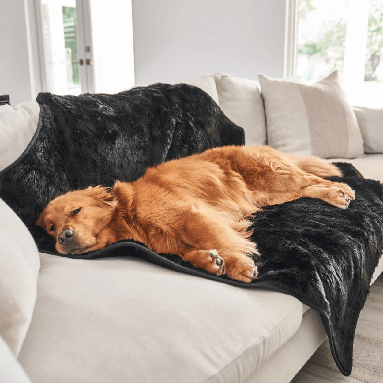 Next-Generation PupProtector™ Summer Short Fur Waterproof Throw Blanket - Midnight Black Authentic