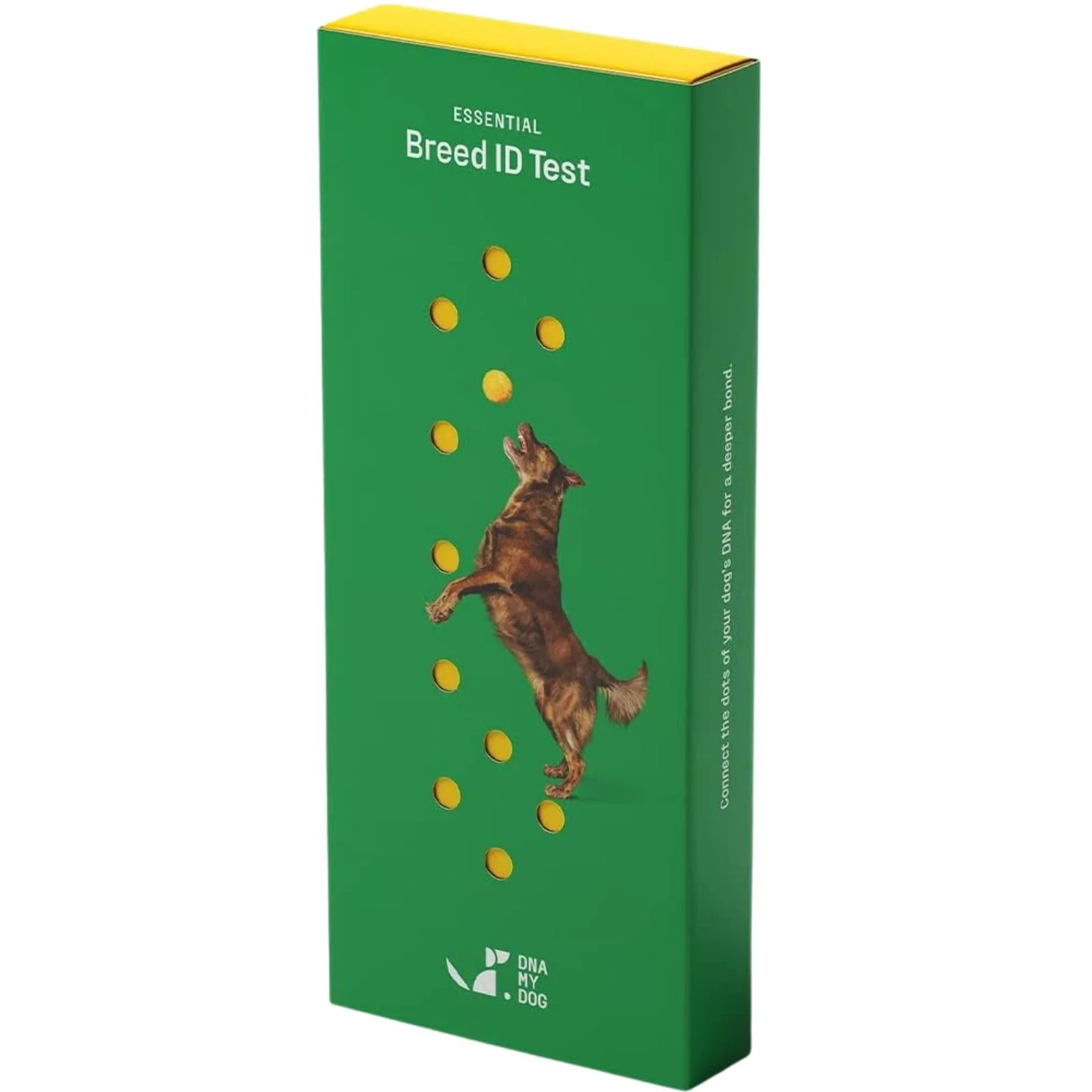 Enhanced DNA MY DOG – Breed Identification Test 350 Breeds 99 Accuracy Outstanding