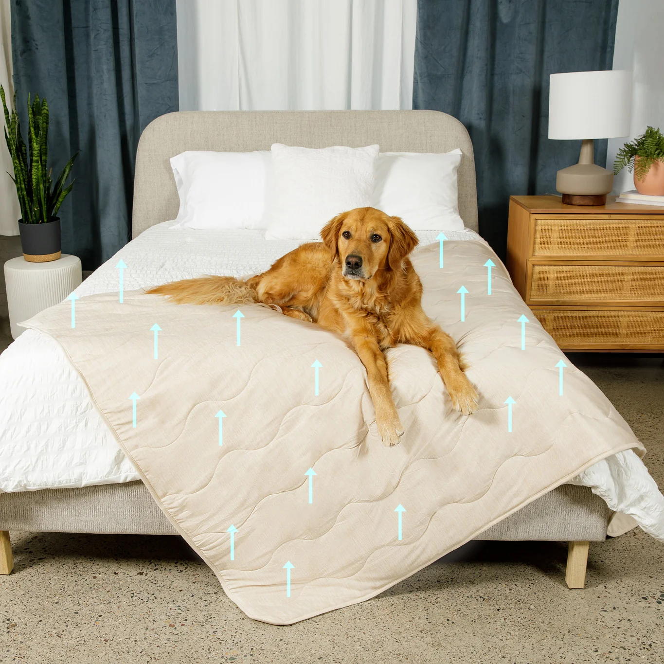 Durable PupChill™ Cooling Waterproof Blanket - Arctic Sand Minimalist