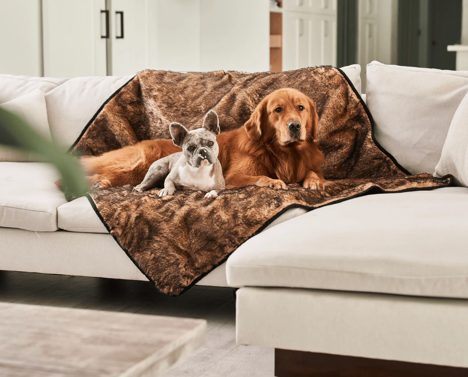 Proven PupProtector™ Summer Short Fur Waterproof Throw Blanket - Sable Tan Innovative