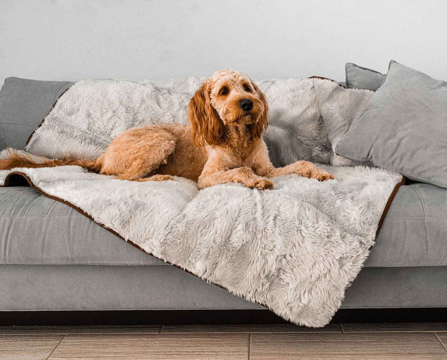 Original Design PupProtector™ Summer Short Fur Waterproof Throw Blanket - Grey Top-Quality