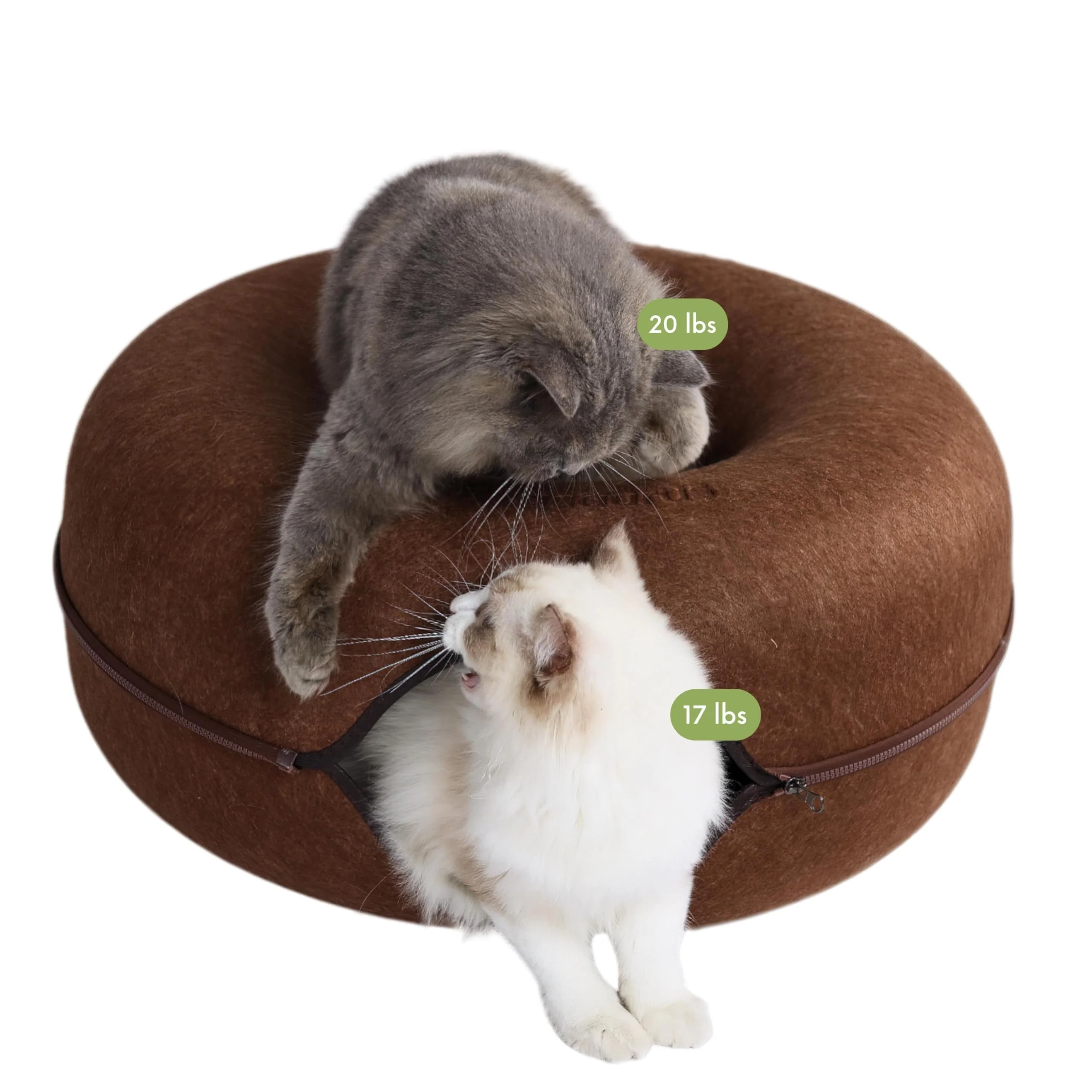 Top-Quality Cattasaurus Peekaboo Cat Cave Donut Bed Tunnel Scratcher for Large Cats Up to 45 lbs – 3-in-1 Indoor Cozy Hideaway High-Grade
