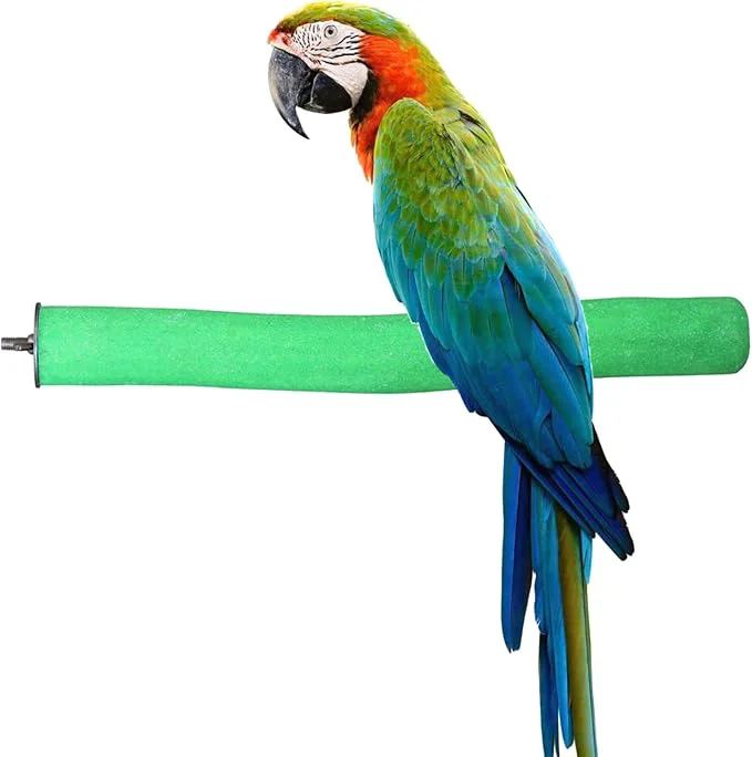 World-Class Bird Perch Rough-surfaced Nature Wood Stand Toy Branch Comfortable