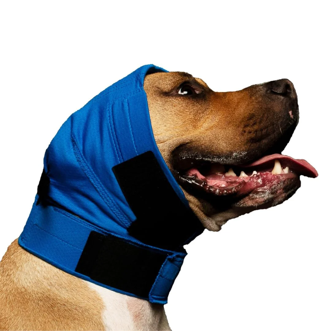 Elite No Flap Ear Wrap Blue Pinpoint Mesh Medium – Breathable Dog Ear Protection Soft