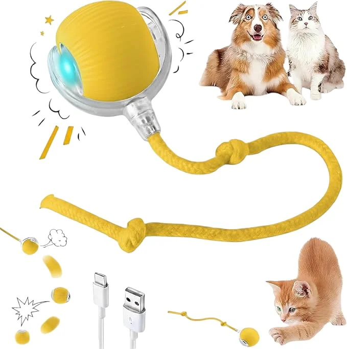 Traditional Interactive Electric Automatic Rolling Moving Rechargeable Self Play Innovative