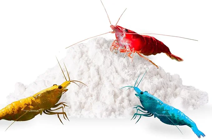 Casual SunGrow Shrimp Calcium White Powder Supports Healthy Molting Improves Shell Environmentally Friendly